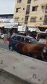 کراچی میں قربانی کے بیل نے لوگوں کی سڑک پر کیسے دوڑیں لگوائیں آپ بھی دیکھ لیں۔ ویڈیو: فیصل علی۔ کراچی