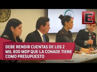 Senadores  llamarán a comparecer a Alfredo Castillo, titular de Conade