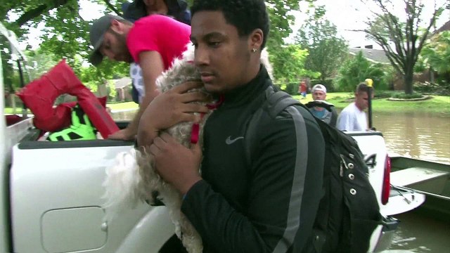 Ouragan Havey: les évacuations continuent à Houston