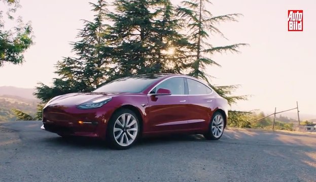 VÍDEO: Este es el presente y el futuro de Tesla. ¿Te suena el Model Y?