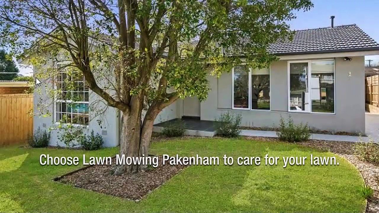 Jim’s Mowing: Preventing Lawn Problems Naturally