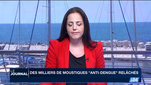 Des millions de moustiques anti-dengue relâchés à Rio