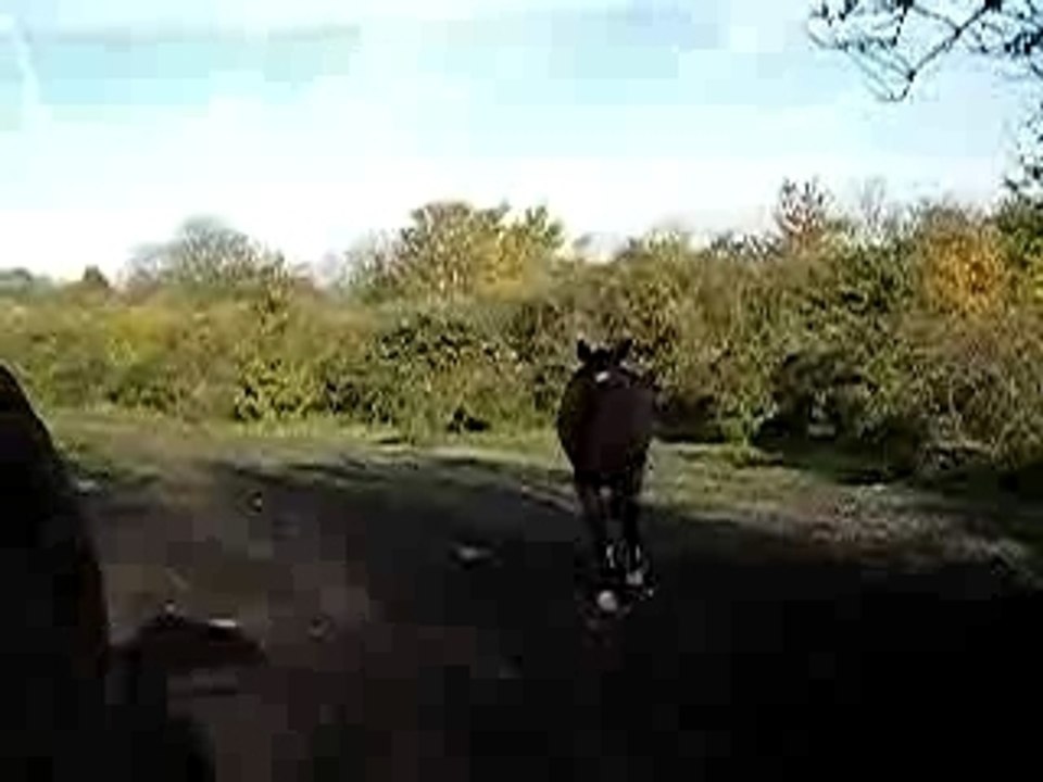 IMGP1667