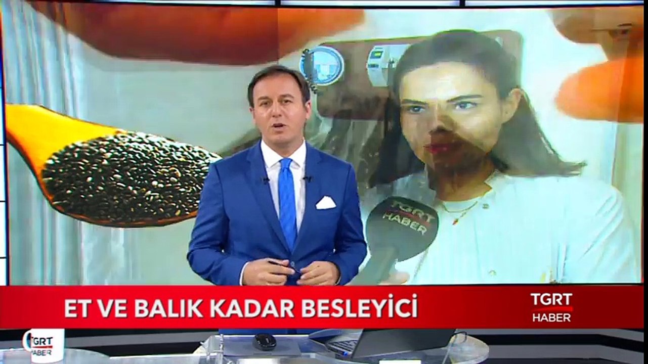 Et ve Balık Kadar Besleyici