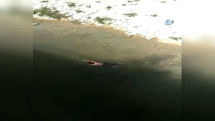 Nehirde Boğulmak Üzere Olan Çocuğu İha Muhabiri Kurtardı