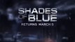 Shades of Blue - Promo 2x02
