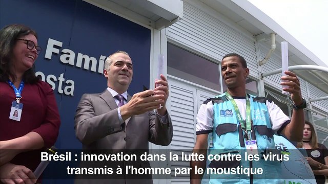 Brésil: Des milliers de moustiques anti-dengue relâchés à Rio