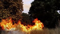 مكافحة حرائق الغابات