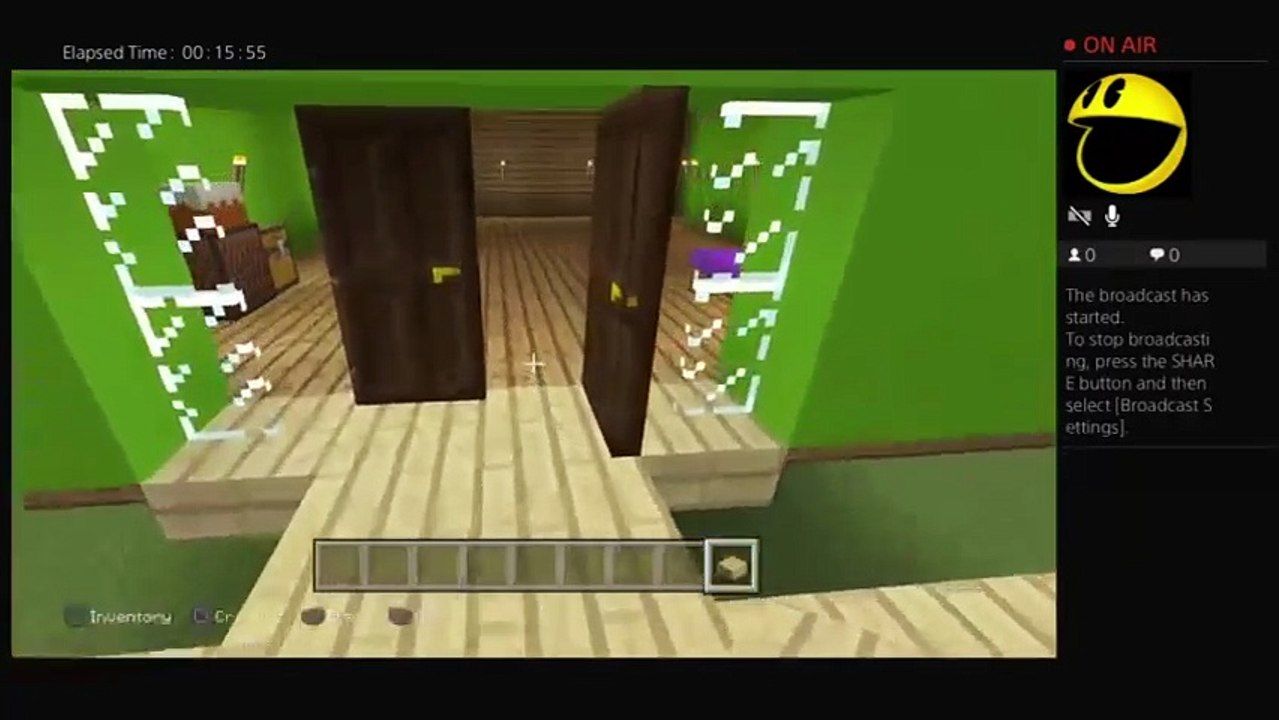 Minecraft (4)