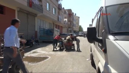 Kilis Kurbanlıklar Motosikletle Taşınıyor