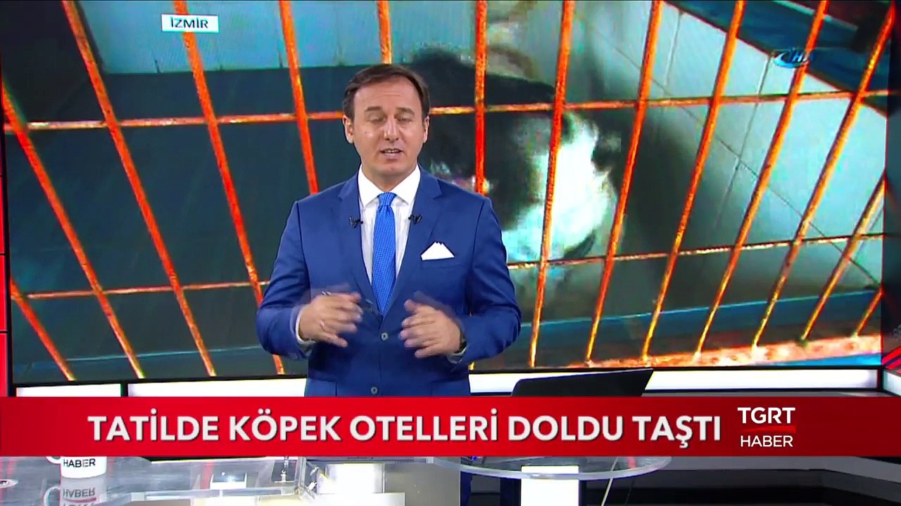 Tatilde Köpek Otelleri Doldu Taştı