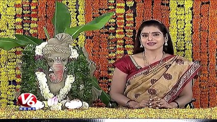 Telangana American Telugu Association (TATA) Organise Picnic Program In Virginia  V6 USA NRI News