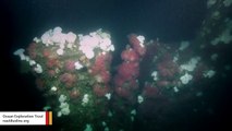 Deep-Ocean Expedition Captures Haunting Images Of Sunken WWII-Era Submarine