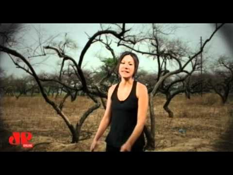 Web Poesia: Patrícia Rizzo e Poeta apresentam Graciliano Ramos