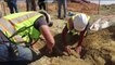 Construction Crew Finds Rare Dinosaur Fossil in Colorado