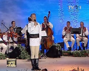 Dinu Iancu Salajanu- Drumul garii din Beclean