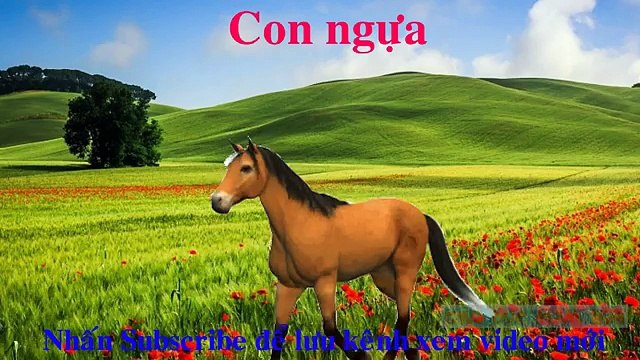 Các con vật cho bé ngoan và nghe lời| Dạy bé học online