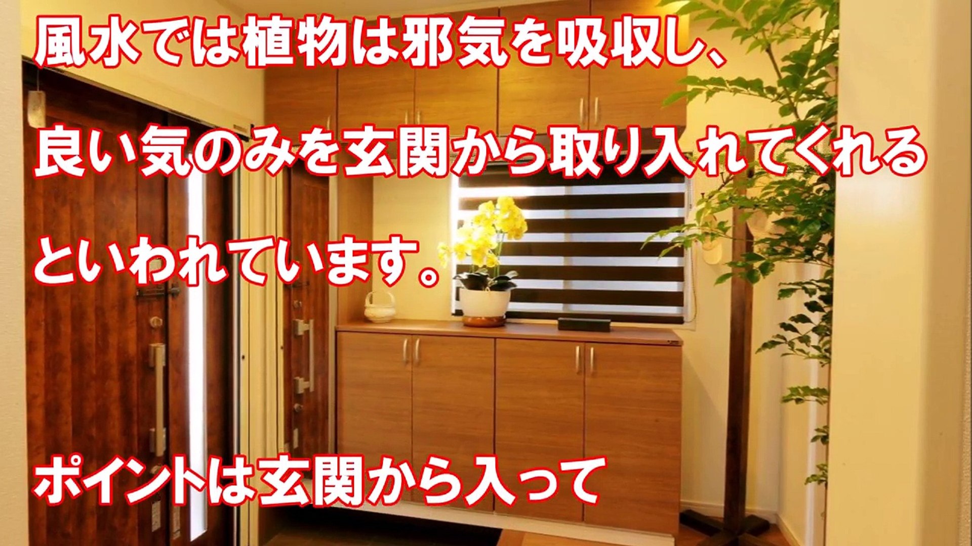 衝撃 お金持ちはやっている運気がアップする超簡単玄関だけ風水 今すぐやってみて 金運もアップする驚愕の開運法 知ってよかった雑学 雑学魂 Video Dailymotion