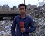 A cow attack on dunya news Reporter Ali Mehdi and Camraman