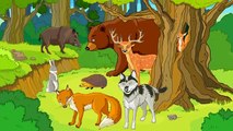 Niños para animales animales del bosque ||