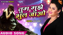 2017 का सबसे दर्द भरा गीत - Anu Dubey - Tum Mujhe Bhul Jao - Pyar Mohabbat - Hindi Sad Song 2017