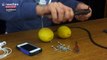 Charger son téléphone avec des citrons, c’est possible ! (Vidéo)