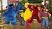 Sesame Street Finger Family Nursery Rhyme Song Elmo Cookie Monster Big Bird Bert & Er