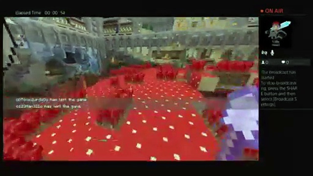 Minecraft pros (57)