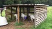 Un et un à un un à et construit entièrement gratuit chèvre maison palettes ferraille avec bois