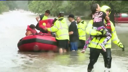 Colorado Brewery Halts Production to Can Water for Harvey Victims