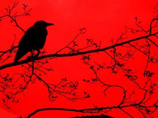 "The Raven" by Edgar Allan Poe (read by Chris Goringe)