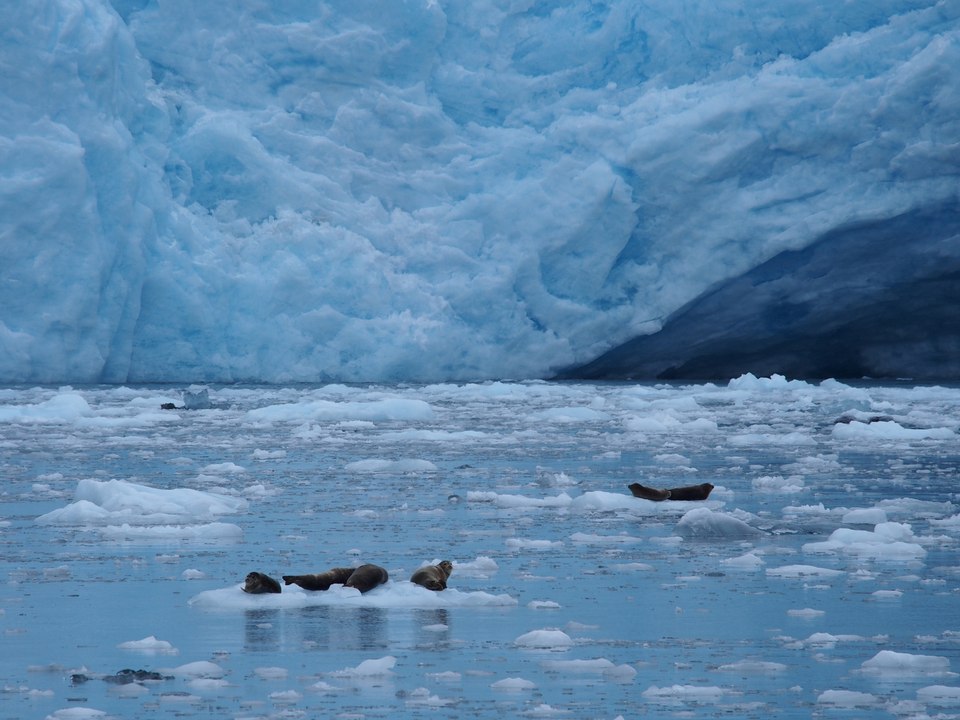 Alaska
