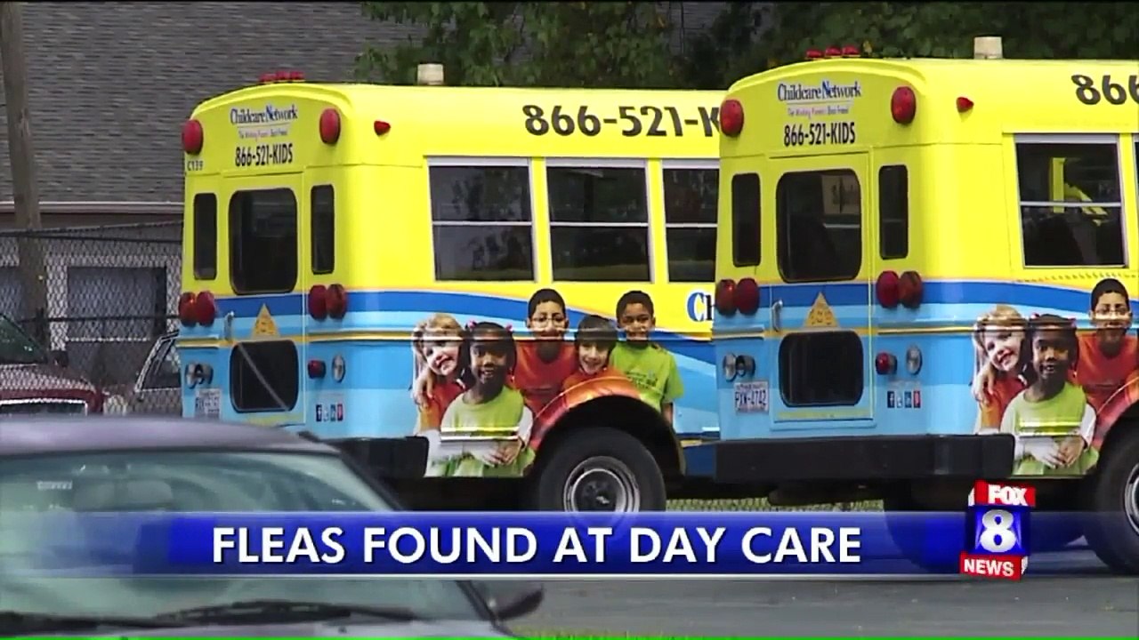 Mother Says Child Bitten by Fleas 14 Times at North Carolina Daycare