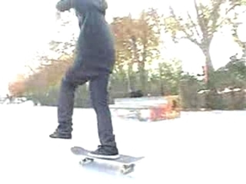 BESTIAL SKATE <3