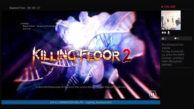 The official chillzone (1262)