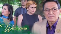 Wildflower: New home for the Ardientes | EP 138