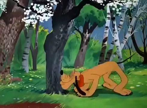 Best Cartoon For Kids 2017 Pluto Springtime for Pluto ,animated cartoons Movies comedy action tv series 2018