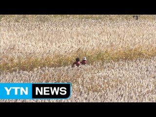 '국가정원' 순천만, 조달청 여행상품 인증 / YTN