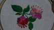 Hand Embroidery: Hand Stitch: Varat Stitch / Satin Stitch