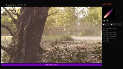 Suicidesquide's playing until dawn (9)