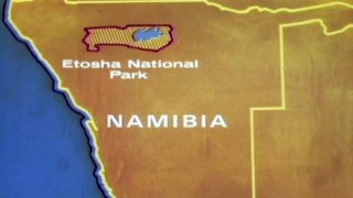 Lions Of Etosha [Lion Pride Survival Documentary] National Geographic