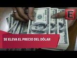 Dólar cerró en un nuevo máximo histórico de 20 pesos