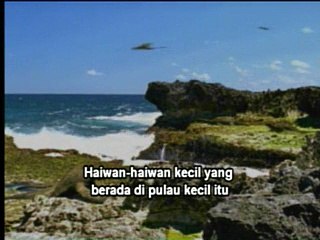 Walking with dinosaurs-cruel sea (3/6)