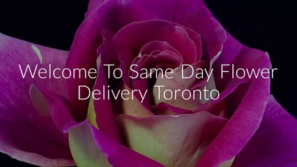 Call @ 647-492-3276 For Same Day Flower Delivery Toronto, ON
