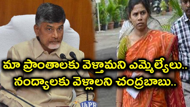 Chandrababu Naidu ordered party MLA's and Ministers to Visit Nandyal