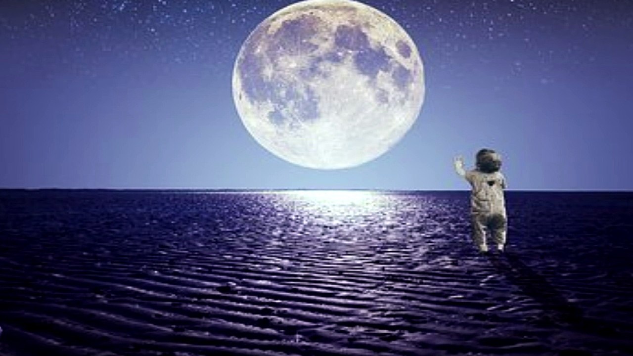 a lua