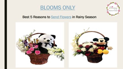 Five Reasons to Send Flowers in Rainy Season – Blooms Only