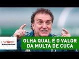 OLHA qual é o valor da MULTA de CUCA no PALMEIRAS!