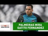 Exclusivo! PALMEIRAS quer contratar GATITO para 2018!