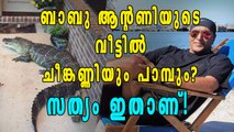 ബാബു ആന്റണിയുടെ വീട്ടില്‍ ചീങ്കണ്ണിയും പാമ്പും? | Oneindia Malayalam